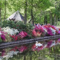 Парк цветов Кёкенкоф, Нидерланды :: Владимир Леликов