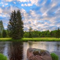 Камни и ель :: Фёдор. Лашков