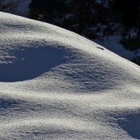 ВЕСНА В ГОРАХ, диагональ. :: Виктор Осипчук