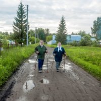 Дачно-скандинавская ходьба :: Александр Силинский