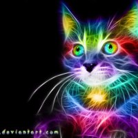 Rainbow Cat :: Andy Kloxx Foxtronic