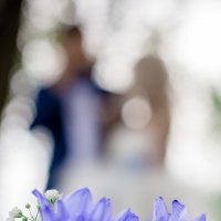 Свадьба в синем цвете :: Оксана Чёрная