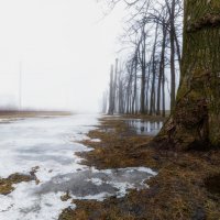 А весна так много обещала... :: Владимир Колесников