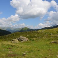 Абхазия, дорога на озеро Мзы :: Мария Ларионова