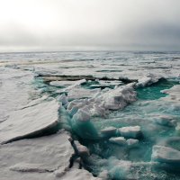 Арктика во льдах :: Tatiana Belyatskaya