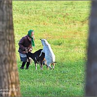 ВЛАДИМИР ПРОВИНЦИАЛЬНЫЙ :: Валерий Викторович РОГАНОВ-АРЫССКИЙ