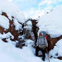 ВЕСНА В ГОРАХ, Гигант. :: Виктор Осипчук