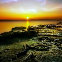Мёртвое море. :: Ron Леви