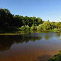 Август, который  пока радует :: Андрей Лукьянов