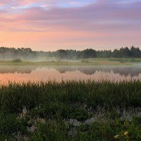 И мир укутан тишиной, стесняясь слов и звуков. :: Павлова Татьяна Павлова