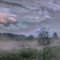 Картина вечернего тумана :: Лара Симонова 