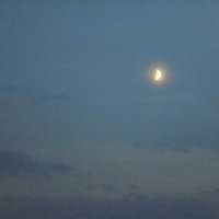 Ночное небо и месяц :: Мария К
