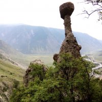 "Каменные грибы" (вид на долину реки Чулышман) :: Юрий ВОВК