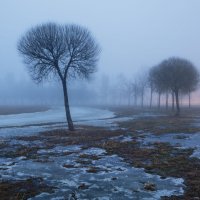 Туман :: Владимир Колесников