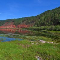 Фотография природы :: Анатолий Иргл