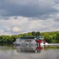 Рассекая водную гладь..... :: Galina Leskova