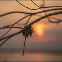 Апрельский вечер на водохранилище 2015 :: Юрий Клишин