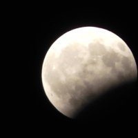затмение луны, август 2017 :: Евгений Фролов