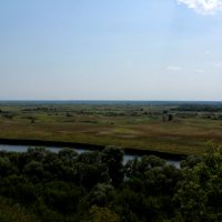 Трубчевский берег :: Алла Новикова (Качуро)