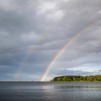 Double colors :: Евгений Улащик