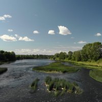 река Луга :: Михаил Жуковский