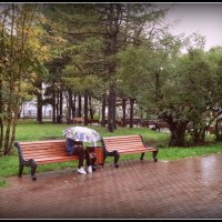 Дождь - не помеха :: emaslenova 