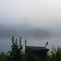 утренний туман :: Евгений 