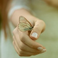 Бабочка :: Katerina Koroleva
