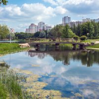 Городской пруд :: Валентина 