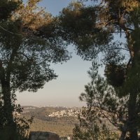 Вид на Иерусалим с пятой горы :: susanna vasershtein