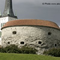 Fotostuudio Akolit,Tallinn :: Аркадий  Баранов Arkadi Baranov