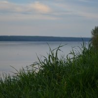 Река :: Юлия Тюляпина