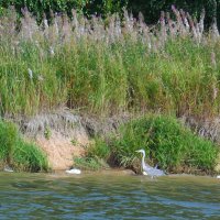 Вазузское водохранилище :: Галина 