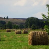 На лугу :: Елена Кадиева