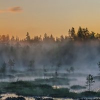 Панорама Карельских болот :: Альберт Беляев