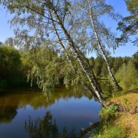 На берегу реки Туры. :: Наталья 