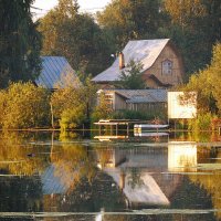 Подмосковные вечера :: Галина 