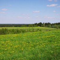 Безмолвие :: Николай Смольников