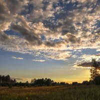 Тучки небесные, вечные странники... :: Елена Струкова