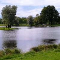 Городская Осень. :: Марина Харченкова