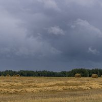 Урожай убран :: Игорь Сикорский