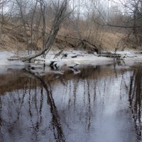 Река Соскуанйоки. Карелия. :: Наталия Владимирова