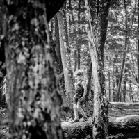 Фотопрогулка в лесу :: Олеся Загорулько