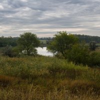 Родные просторы. Донской край. :: Марина 