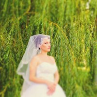 Прекрасная невеста :: Наталья Базанова