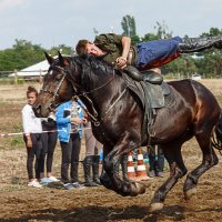 Мастерство джигитовки :: Сергей Пучков