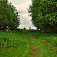 уголки Карелии, п.Лехта :: Валерия Воронова