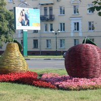 Городские  фрукты. :: Виталий Селиванов 