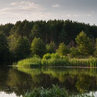 ПРЕДЧУВСТВИЕ ОСЕНИ :: ОЛЕГ КАРАУЛОВСКИЙ