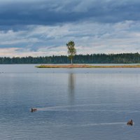 Валдайские сны 2 :: Александр Зиновьев